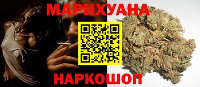 бошки Гатчина