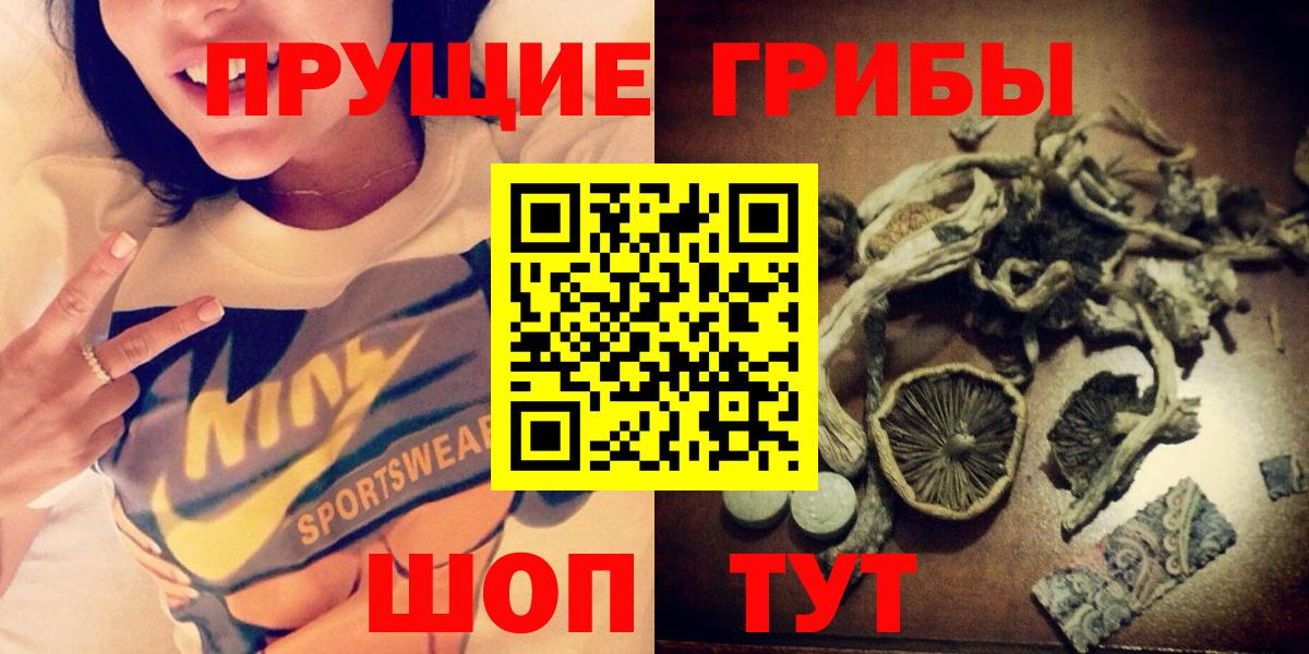 Малоярославец  Галлюциногенные грибы Psilocybine cubensis  Вход с VPN 